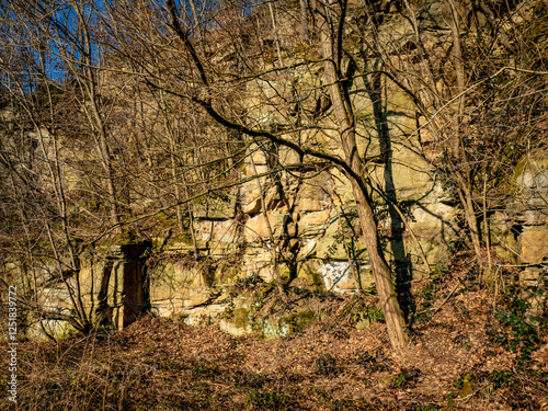 Felswände eines alten Steinbruchs im Wald
 photo