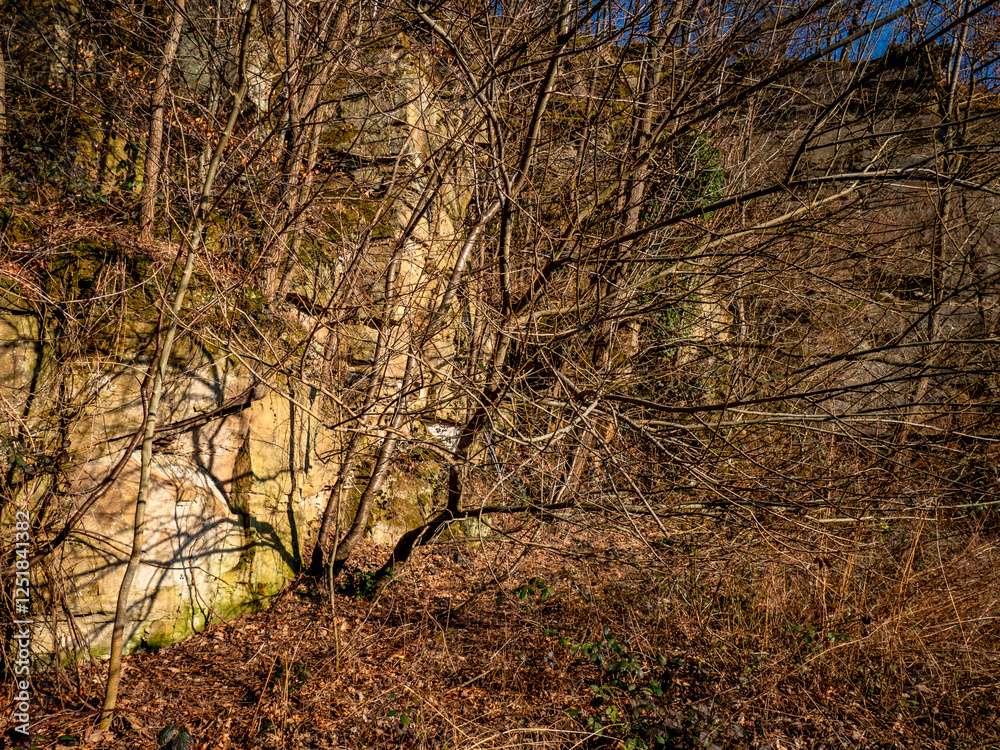 Felswände eines alten Steinbruchs im Wald
Felswände eines alten Steinbruchs im Wald