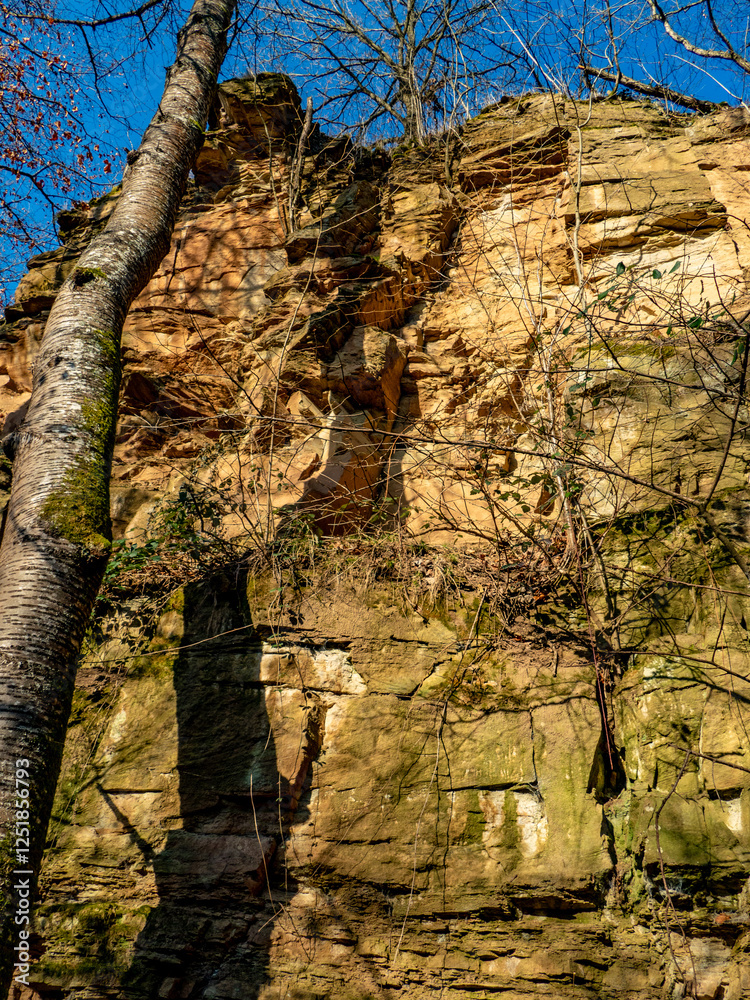 Felswände eines alten Steinbruchs im Wald
