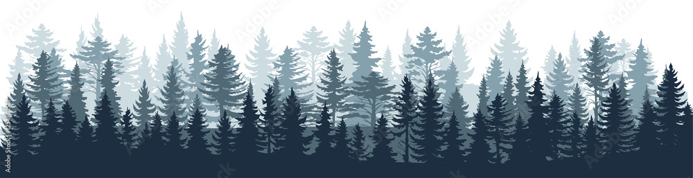 Obraz premium Pine forest silhouette wood tree background wild vector image