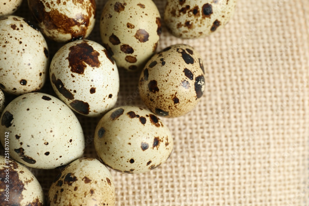 Obraz premium Quail eggs on burlap 