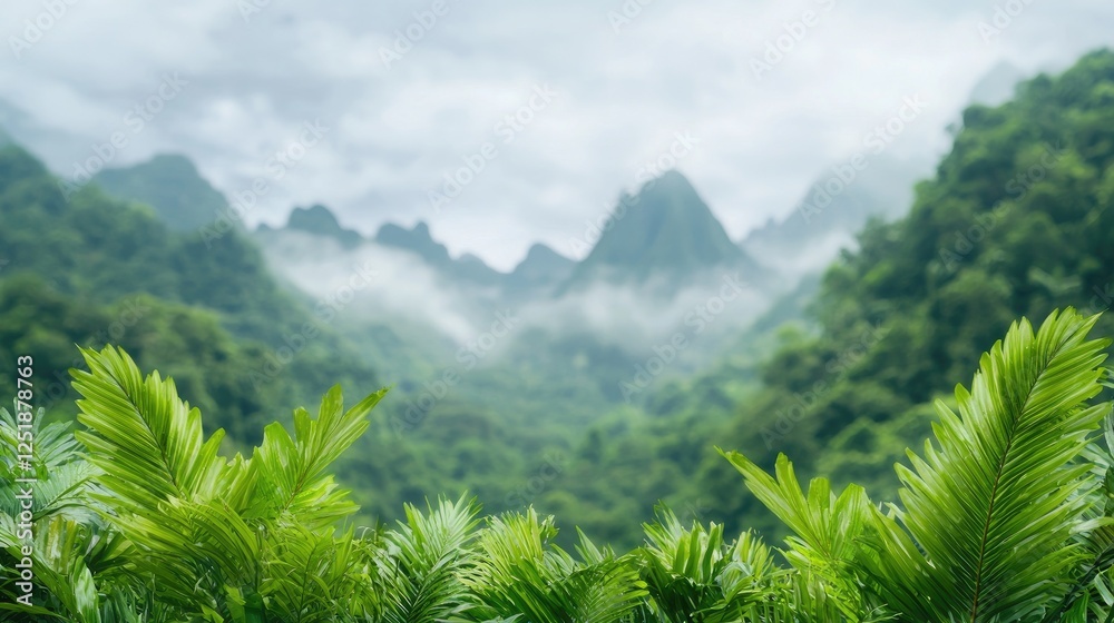 Fototapeta premium Lush green mountain valley, misty foliage, nature scene, peaceful background, environmental photo
