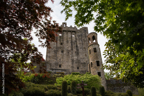 Blarney Castle in Ireland, a medieval castle in Cork where also Blarney Stone can be found. According to legend, kissing the stone endows the kisser with the gift of eloquence photo