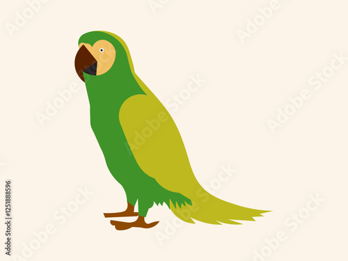 colorful parrot flat design vector illustration