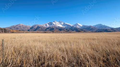 Snowy mountain range autumn field landscape; scenic travel poster