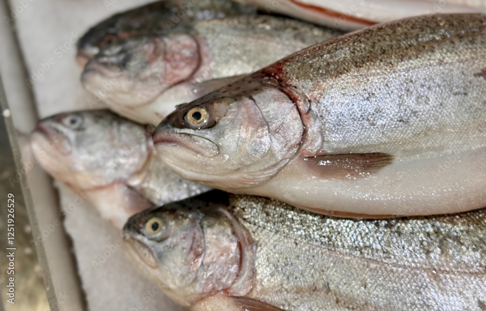 Raw steaks of rainbow trout chilled on shallow ice at the seafood market. An open shelf at the fish market. Close-up Raw steaks of rainbow trout chilled on shallow ice at the seafood market. An open shelf at the fish market. Close-up