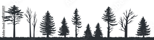 Pine tree silhouettes evergreen forest firs vector image