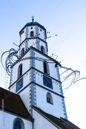 Wallpaper Mural Flugbahnen von Dohle (Corvus monedula), um einen Kircheturm, Torontodigital.ca