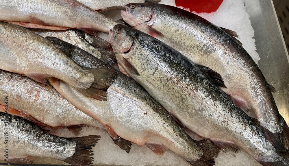 Raw steaks of rainbow trout chilled on shallow ice at the seafood market. An open shelf at the fish market. Close-up Raw steaks of rainbow trout chilled on shallow ice at the seafood market. An open shelf at the fish market. Close-up