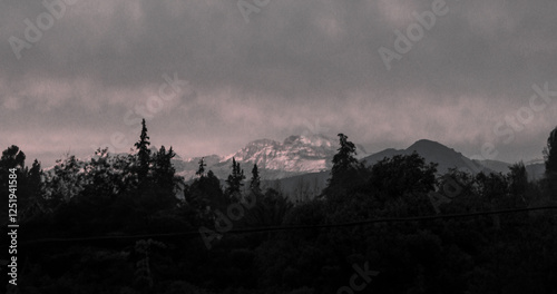 Paisaje de la cordillera junto a un bosque en blanco y negro