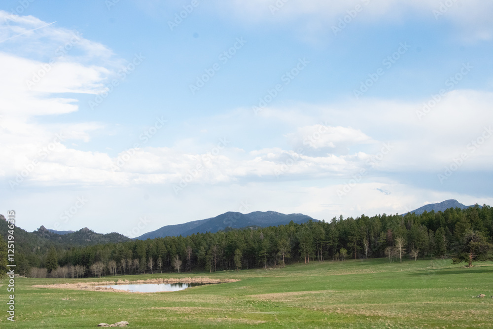 Fototapeta premium Rural Colorado meadow in spring