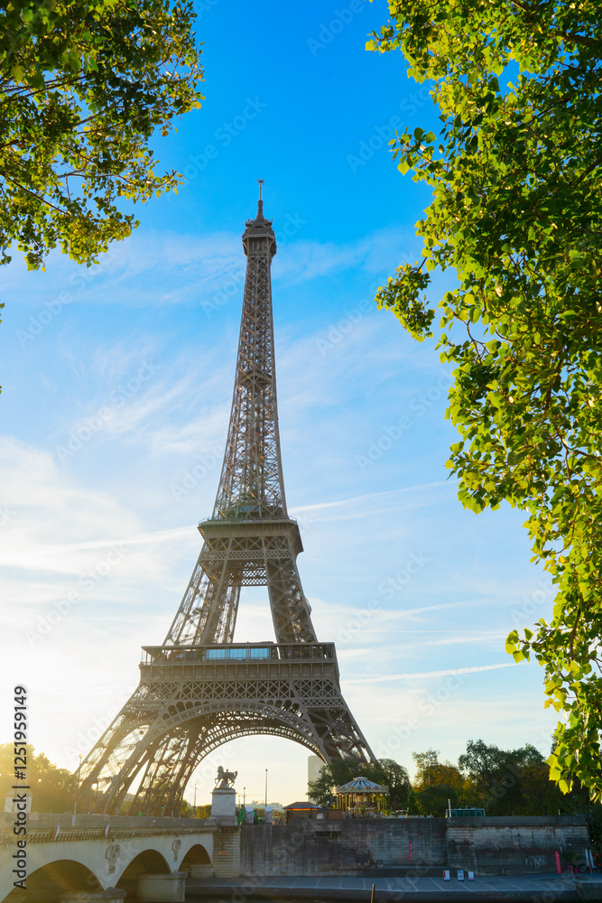 Fototapeta premium eiffel tour and from Trocadero, Paris