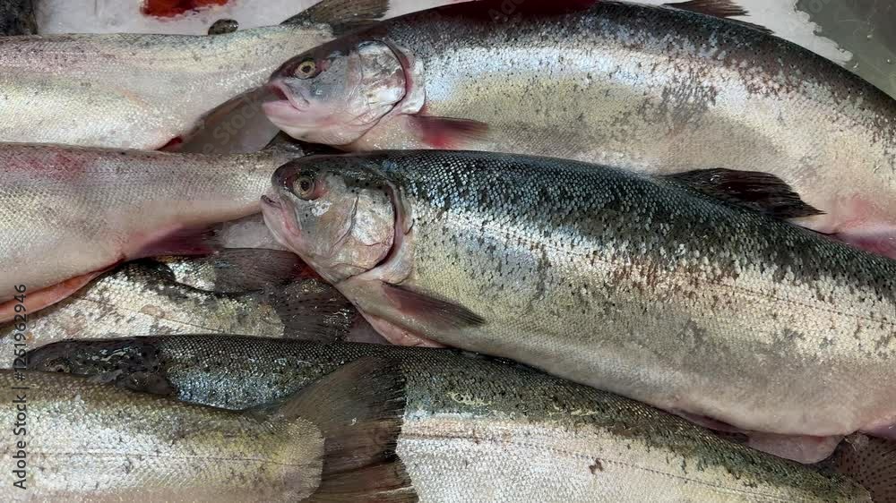 Raw steaks of rainbow trout chilled on shallow ice at the seafood market. An open shelf at the fish market. Close-up Raw steaks of rainbow trout chilled on shallow ice at the seafood market. An open shelf at the fish market. Close-up
