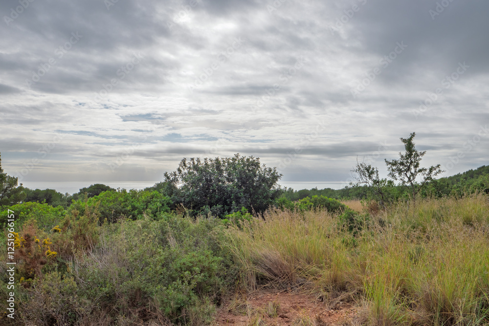 Im Naturpark Serra de Irta mit Blick auf das Mittelmeer nahe Alcossebre, Provinz Castellón, Autonome Gemeinschaft Valencia, Spanien Im Naturpark Serra de Irta mit Blick auf das Mittelmeer nahe Alcossebre, Provinz Castellón, Autonome Gemeinschaft Valencia, Spanien