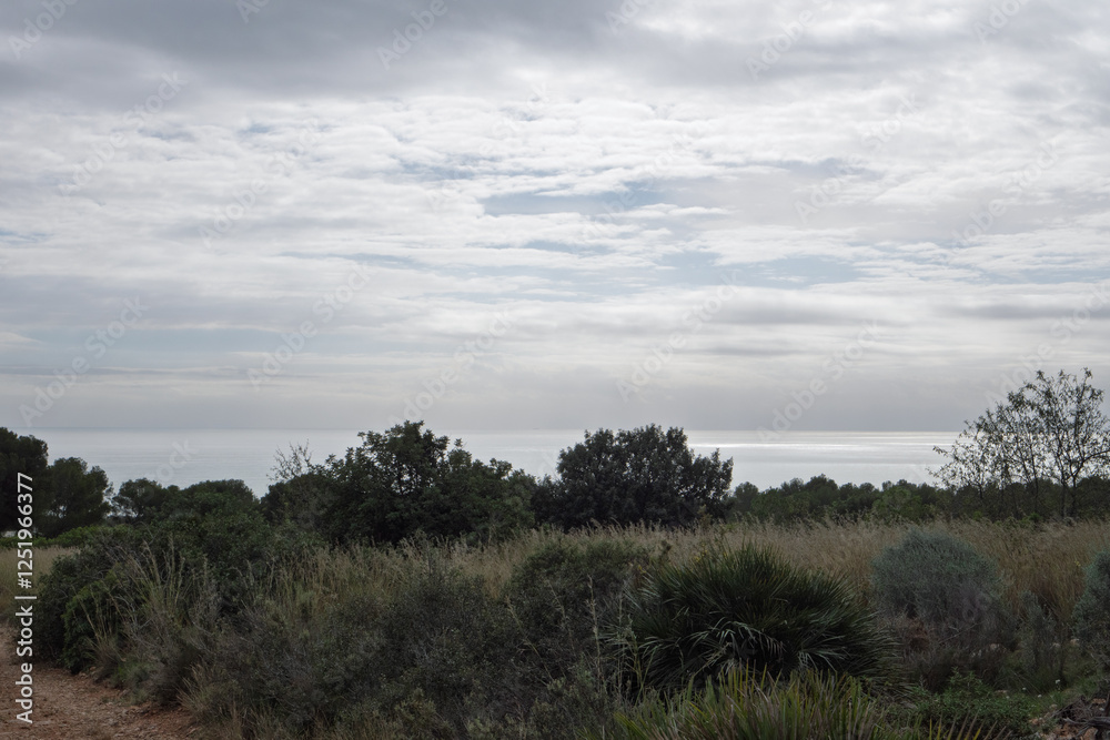 Im Naturpark Serra de Irta mit Blick auf das Mittelmeer nahe Alcossebre, Provinz Castellón, Autonome Gemeinschaft Valencia, Spanien Im Naturpark Serra de Irta mit Blick auf das Mittelmeer nahe Alcossebre, Provinz Castellón, Autonome Gemeinschaft Valencia, Spanien