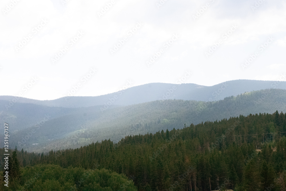 Fototapeta premium mountain forest obscured in fog