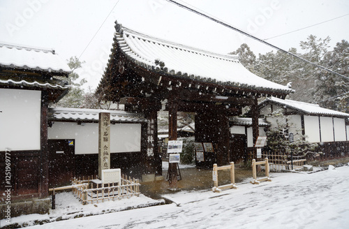Wallpaper Mural 雪の南禅寺　金地院の山門　京都市左京区 Torontodigital.ca
