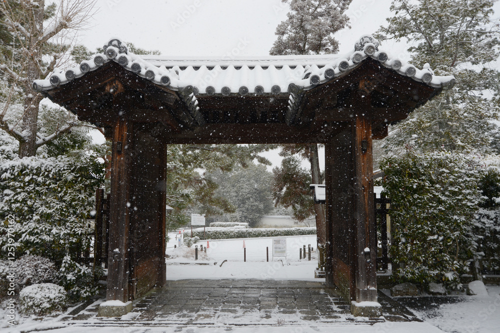 雪の南禅寺　金地院参道の門　京都市左京区