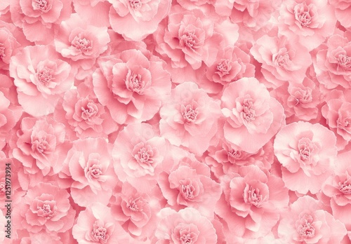 Close Up Of Pink Floral Pattern