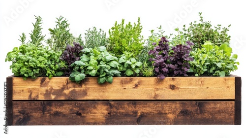 Wooden garden bed filled with various vibrant herbs and plants