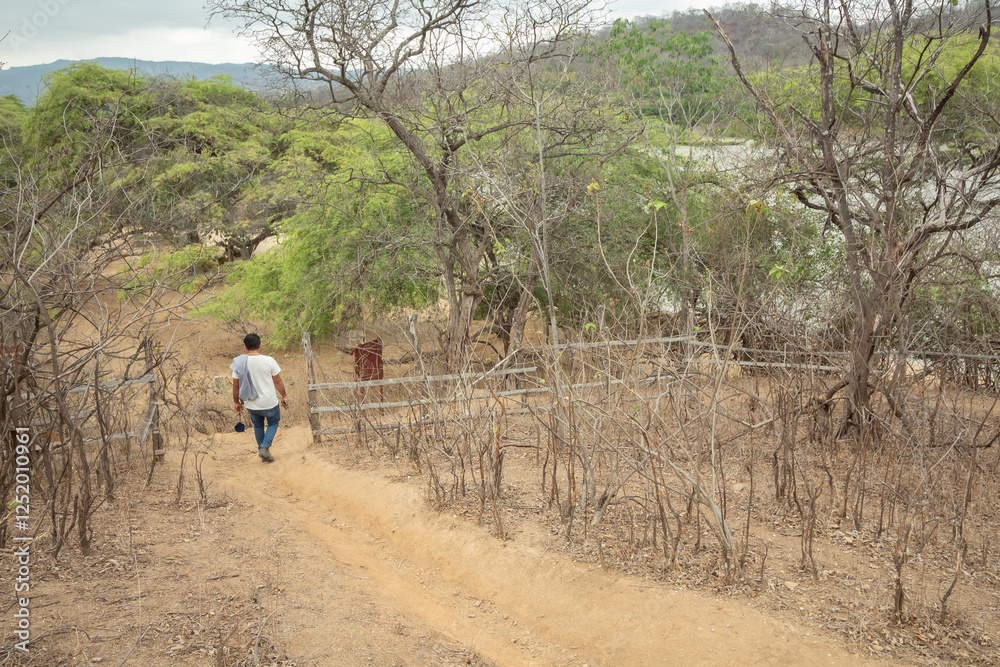 A man walks through a dry, barren field A man walks through a dry, barren field