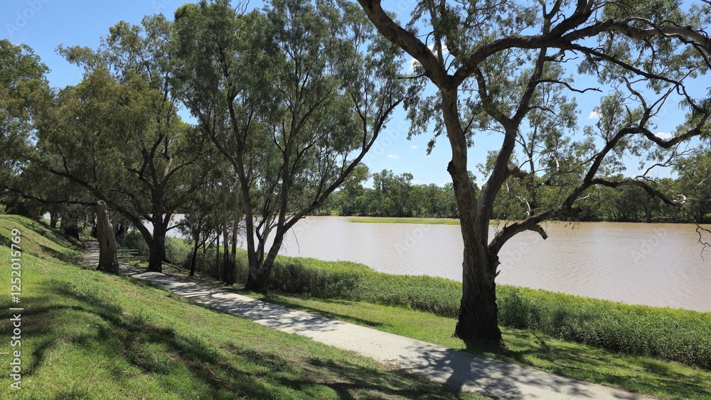 A peaceful riverside path lined with large trees providing shade, with a calm river and lush greenery in the background under a sunny, blue sky. A peaceful riverside path lined with large trees providing shade, with a calm river and lush greenery in the background under a sunny, blue sky.