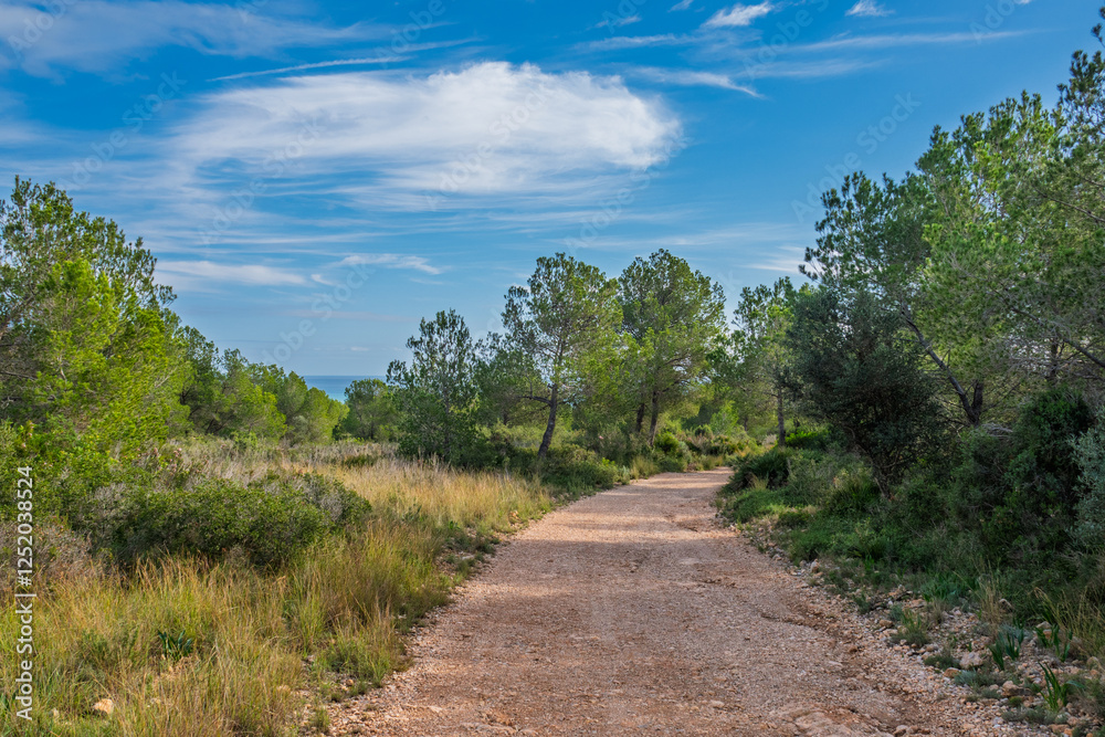 Obraz premium Wanderweg im Naturpark Serra de Irta nahe Alcossebre, Provinz Castellón, Autonome Gemeinschaft Valencia, Spanien