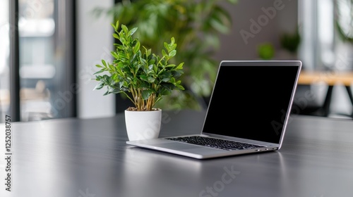 Laptop plant modern office workspace