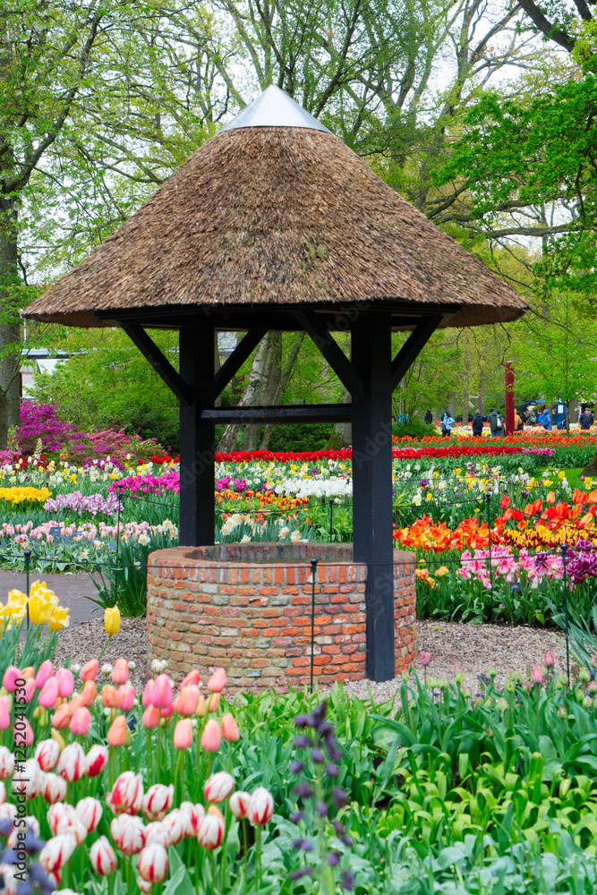 Colorful growing red, pink, red, violet tulips flowerbed with well in spring formal garden Colorful growing red, pink, red, violet tulips flowerbed with well in spring formal garden