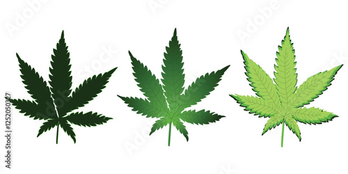 Vector set of cannabis leaves, three cannabis leaves