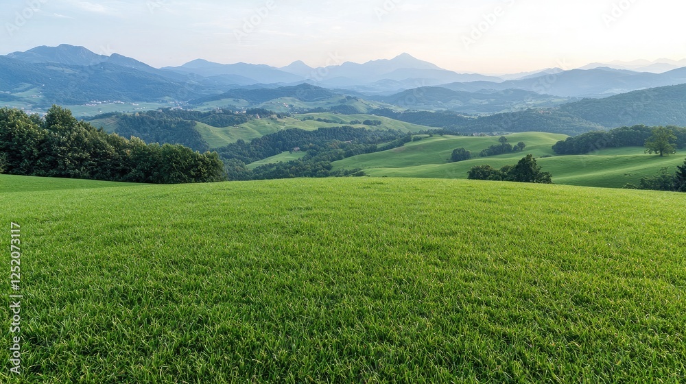 Panoramic Meadow View of Rolling Hills and Mountains Panoramic Meadow View of Rolling Hills and Mountains