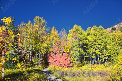 Box Elder Peak Hiking Trail, American Fork Canyon. Uinta-Wasatch-Cache National Forest, Wasatch Range Rocky Mountains, Utah, United States. photo