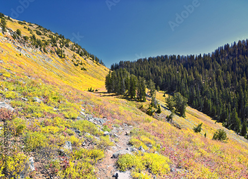 Box Elder Peak Hiking Trail, American Fork Canyon. Uinta-Wasatch-Cache National Forest, Wasatch Range Rocky Mountains, Utah, United States. photo