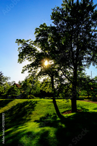 Inniswood Metro Gardens, Westerville, Ohio photo