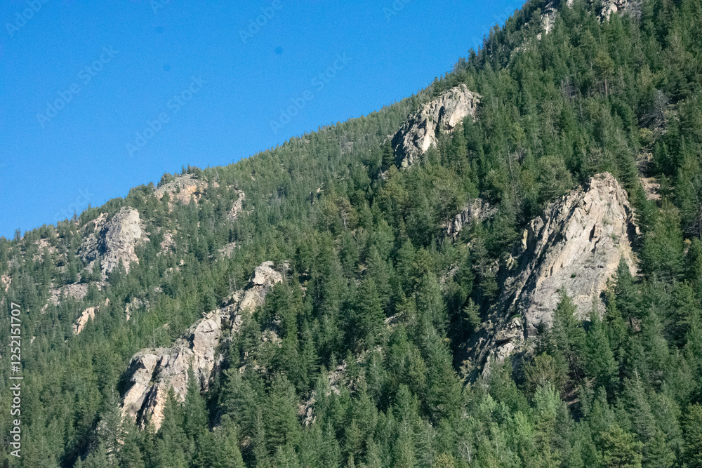 Fototapeta premium Pine Covered Colorado Rocky Mountain Landscapes 