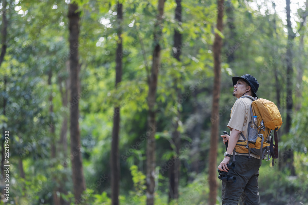 Naklejka premium A male hiker, dressed in outdoor gear, walks through a dense forest carrying a yellow backpack and trekking pole. 