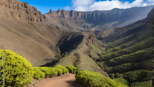 Gran Canaria, landscapes along the hiking route around the ravive Barranco del Toro at the southern part of the 
island photo