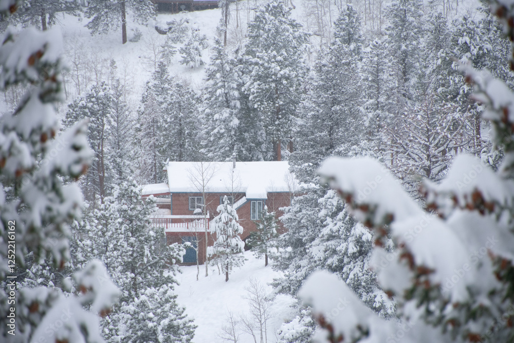 custom made wallpaper toronto digitalspring snow storm Rollinsville Colorado