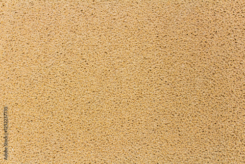 Wallpaper Mural brown carpet texture. texture of the sand Torontodigital.ca