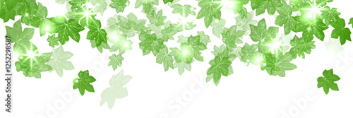 新緑　観葉植物　アイビー　背景