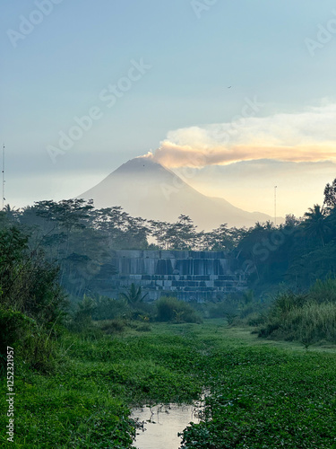 a stream filled with aquatic plants with a mountain background in the morning