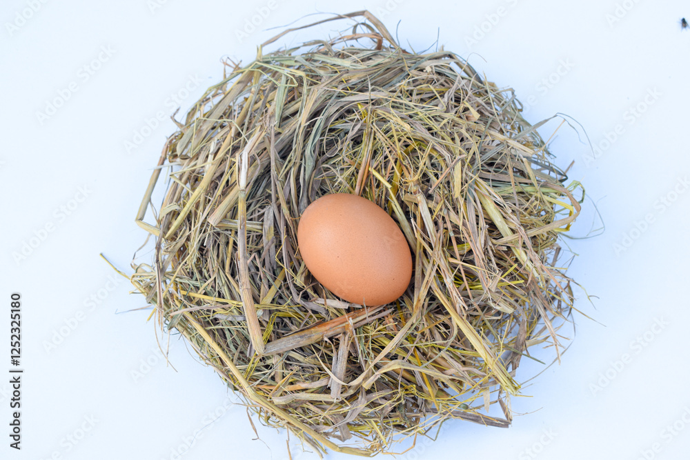 Raw chicken eggs in a nest on a straw pillow, isolated white background. top view. Easter holiday concept Raw chicken eggs in a nest on a straw pillow, isolated white background. top view. Easter holiday concept