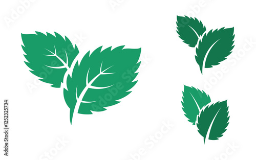 Mint leaves flat vector icon illustration design template v.1