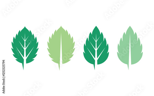 Mint leaves flat vector icon illustration design template v.6