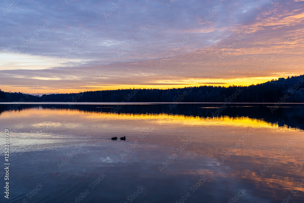 Peaceful Sunset Over Tranquil Lake with Trees and Ducks
