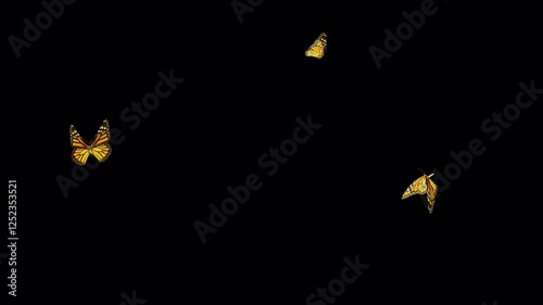 Flock of 3 American Monarch Butterflies - Flying Around Screen Loop - Alpha Channel - Realistic naturalistic 3D animation isolated on transparent background