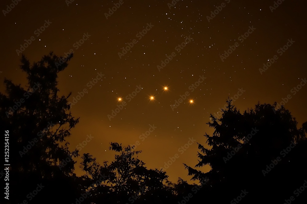 Fototapeta premium Night sky with stars