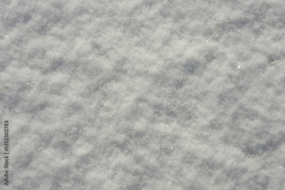Fototapeta premium 雪肌 雪の模様