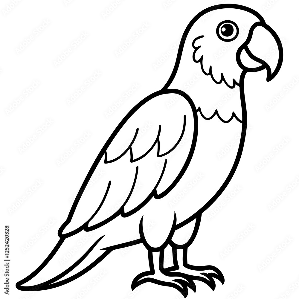 African Gray Parrot Line Art Vector on White Background African Gray Parrot Line Art Vector on White Background