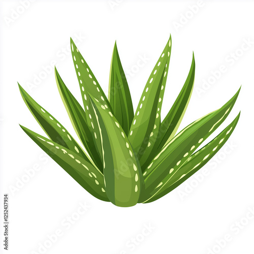 A vibrant vector style illustration of aloe vera leaves, featuring the plant’s distinct sharp edges and bright green coloration, with a modern and clean design style